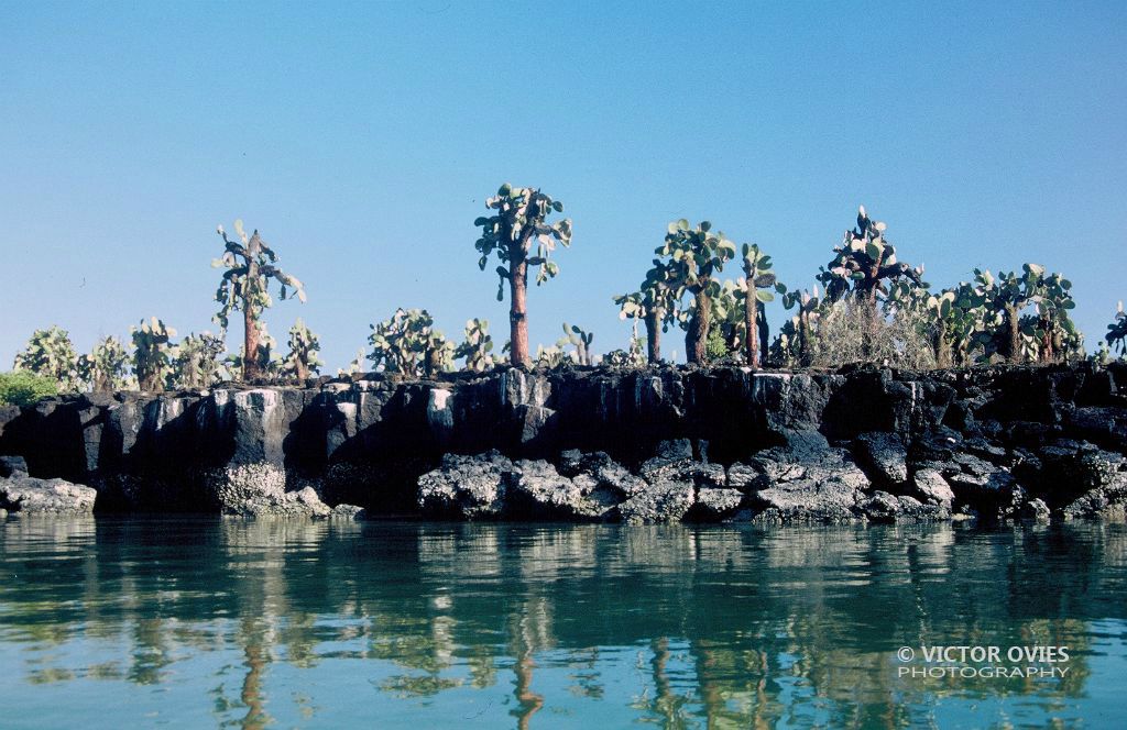 Santa Cruz